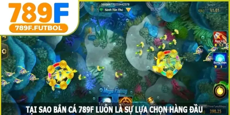 ban-ca-789f-01