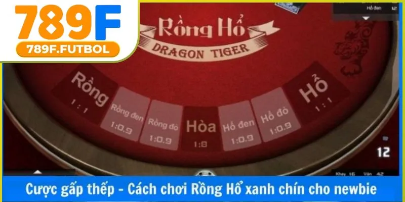 cach-choi-rong-ho-03