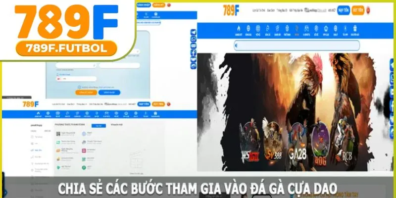 da-ga-cua-dao-03