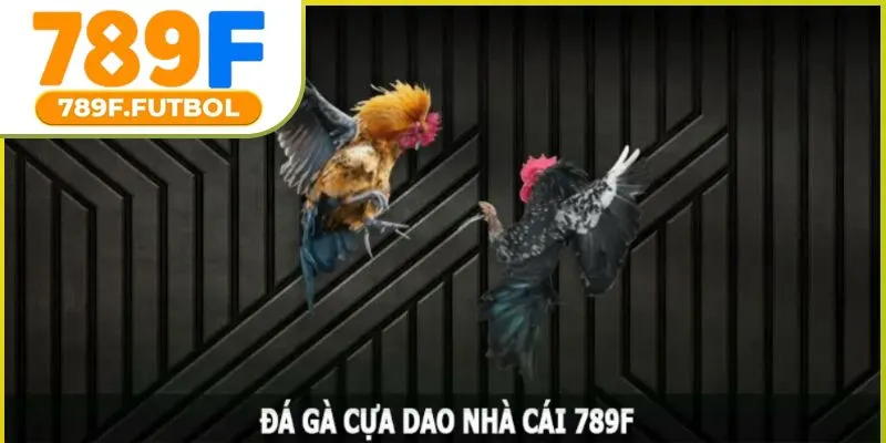 da-ga-cua-dao
