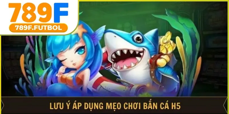 meo-choi-ban-ca-h5-01
