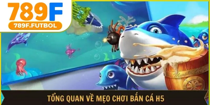 meo-choi-ban-ca-h5-02
