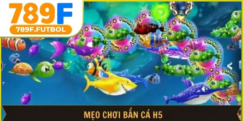 meo-choi-ban-ca-h5