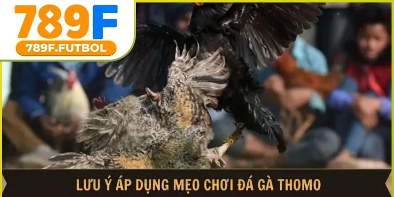 meo-choi-da-ga-thomo-03